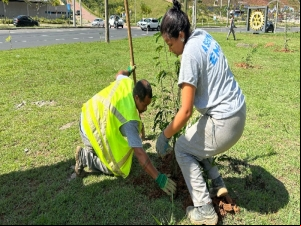 Cultivar o Futuro: Empav realiza o plantio de mais de 250 árvores nativas na Avenida Deusdedith Salgado