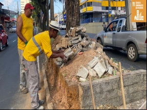 PJF trabalha na revitalização dos canteiros da avenida Doutor Paulo Japiassú Coelho