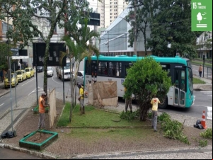 Prefeitura atende a 31 bairros com os serviços de limpeza e poda de grama nesta semana