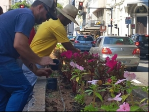 Empav realiza plantio de flores nos canteiros centrais da avenida Rio Branco 