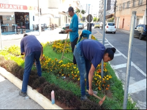 Prefeitura intensifica cuidados com os canteiros da cidade