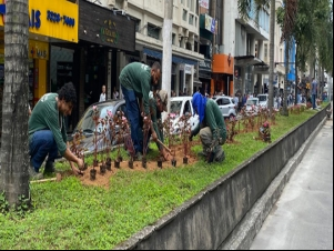 Prefeitura segue com revitalizações nos canteiros centrais da Avenida Rio Branco e em outros pontos da cidade