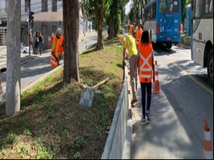 PJF segue com a revitalização dos canteiros da Avenida Rio Branco