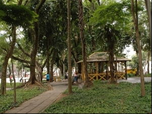 EMPAV retira pérgulas do Parque Halfeld