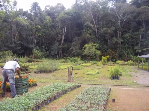 Horto Florestal da Empav está aberto à visitação