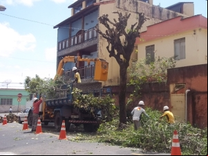 Empav finaliza poda de árvores na Rua Acre