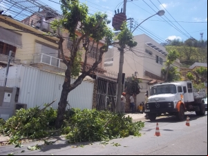 Empav realiza poda de árvores no bairro Bom Pastor 