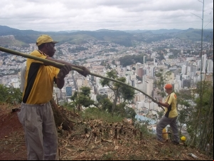 Empav realiza poda de árvore e bambuzal no Morro do Imperador
