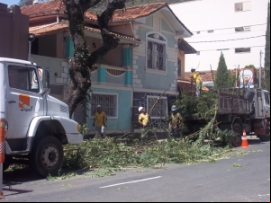 Empav realiza poda de árvores na Rua Barão de Cataguases