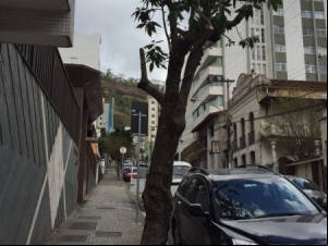 Empav realiza poda de árvore na Floriano Peixoto