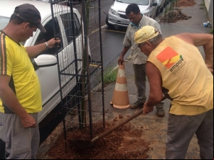 Equipe da Empav planta ipês-amarelos na região central de Juiz de Fora