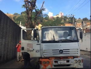 Empav realiza poda de árvores em dezoito bairros