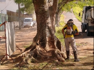 Empav faz manutenção de praças e canteiros em quatro bairros