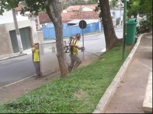 Empav realiza poda de árvores e manutenção de praças